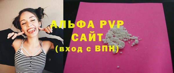 стаф Великий Новгород