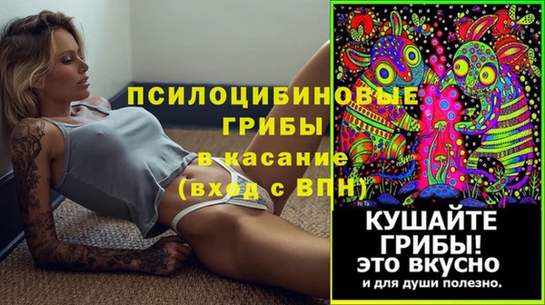 гидропоника Абаза