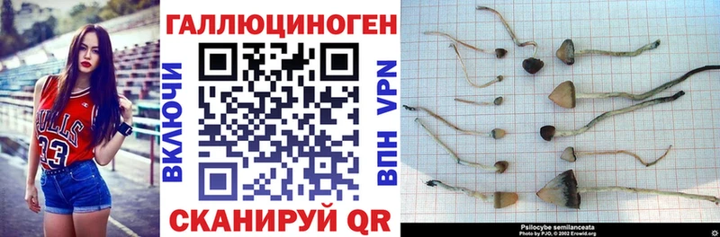купить  цена  Белая Калитва  Псилоцибиновые грибы ЛСД 